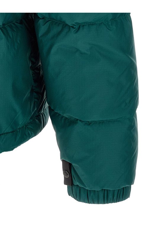 Зелёная пуховик «1996 Retro Nuptse» Зелёный NF0A3C8DS7K1