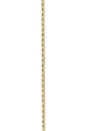 Metal chain belt CHLOE (CHC24AC068CB7)