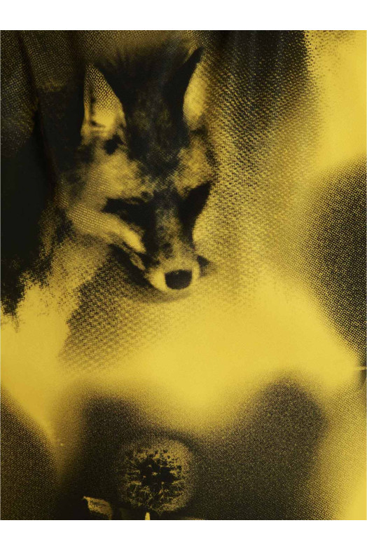 Парка з принтом Re-Nylon, жовта PRADA (SGC09111P1F0010) Парка з принтом Re-Nylon, жовта PRADA (SGC09111P1F0010)