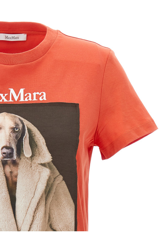 MAX MARA 'Valido' Багатобарвна футболка (VALIDO007) MAX MARA 'Valido' Багатобарвна футболка (VALIDO007)