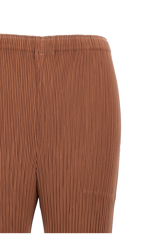 Штани «Hatching Pleats» коричневі (IM48FF12148)